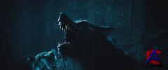  :   [HD] / Underworld: Rise of the Lycans