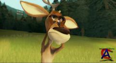   / Open Season 1  2 