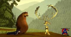   / Open Season 1  2 