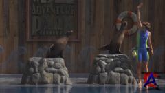   / Free Willy