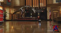    / Night at the Museum