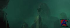  / The Fog ()