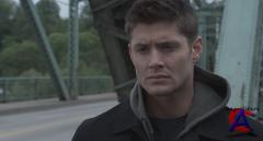    / My Bloody Valentine