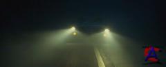  / The Fog ()