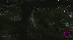  /The Fountain