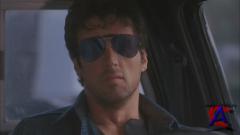  / Cobra