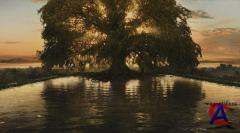  /The Fountain