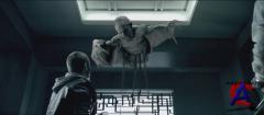   / Daybreakers