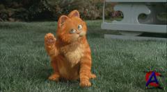  / Garfield