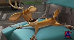   / Open Season 1  2 
