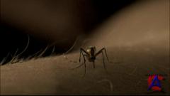   / Dexter [ 4]