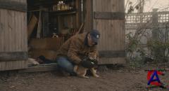 :    / Hachiko: A Dogs Story