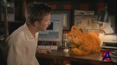  / Garfield