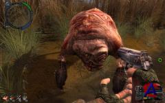 S.T.A.L.K.E.R.:   (Stalker) / S.T.A.L.K.E.R.: Call of Pripyat (RUS) [RePack]  R.G. 