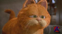  / Garfield