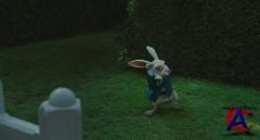     / Alice in Wonderland ()