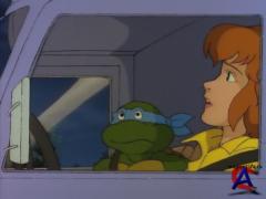    (  4)/Teenage Mutant Ninja Turtles