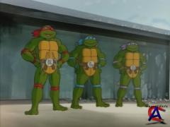    (  5)/Teenage Mutant Ninja Turtles