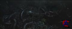  2:     / Anacondas: The Hunt for the Blood Orchid [HD]