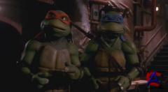 -/	Teenage Mutant Ninja Turtles