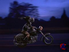   / Moonwalker