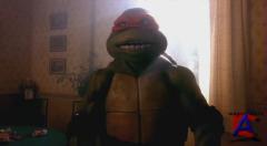 -/	Teenage Mutant Ninja Turtles