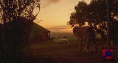  / Cujo [HD]