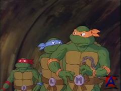    (  2)/Teenage Mutant Ninja Turtles