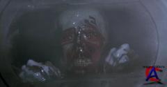    / Return of the Living Dead, The