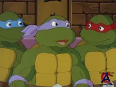    (  6)/Teenage Mutant Ninja Turtles