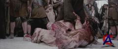   / Passion of the Christ, The