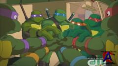  / Teenage Mutant Ninja Turtles: Turtles Forever