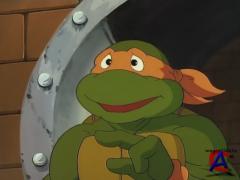    (  6)/Teenage Mutant Ninja Turtles