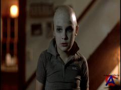  13 -  4:   / Friday the 13th: The Final Chapter