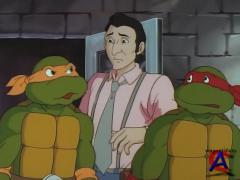    (  6)/Teenage Mutant Ninja Turtles