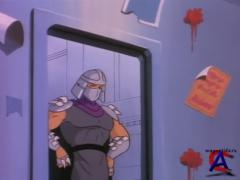    (  1)/Teenage Mutant Ninja Turtles