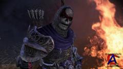 Dragon Age: Origins - Awakening
