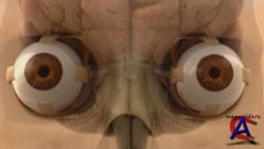 Discovery -  :   / Discovery - Human Body: Pushing the Limits (1 )