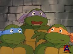    (  6)/Teenage Mutant Ninja Turtles