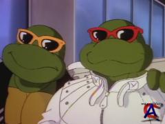    (  1)/Teenage Mutant Ninja Turtles