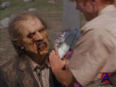    / Night of the Living Dead