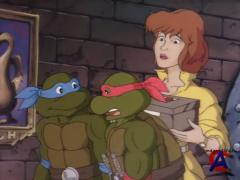    (  3)/Teenage Mutant Ninja Turtles
