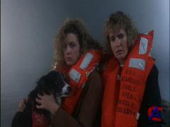  13 -  8:    / Friday the 13th Part VIII: Jason Takes Manhattan