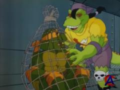    (  5)/Teenage Mutant Ninja Turtles