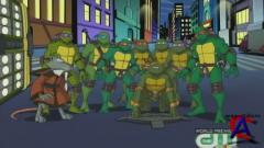  / Teenage Mutant Ninja Turtles: Turtles Forever