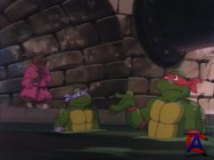    (  5)/Teenage Mutant Ninja Turtles