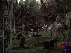    / Pet Sematary