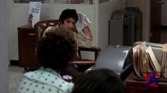   / Dog Day Afternoon