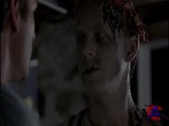    / Pet Sematary