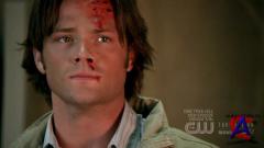  / Supernatural (4 )